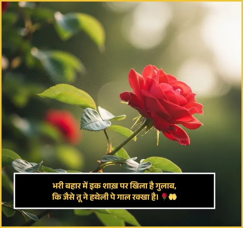 Friendship Shayari in Hindi Friendship Shayari in Hindi
