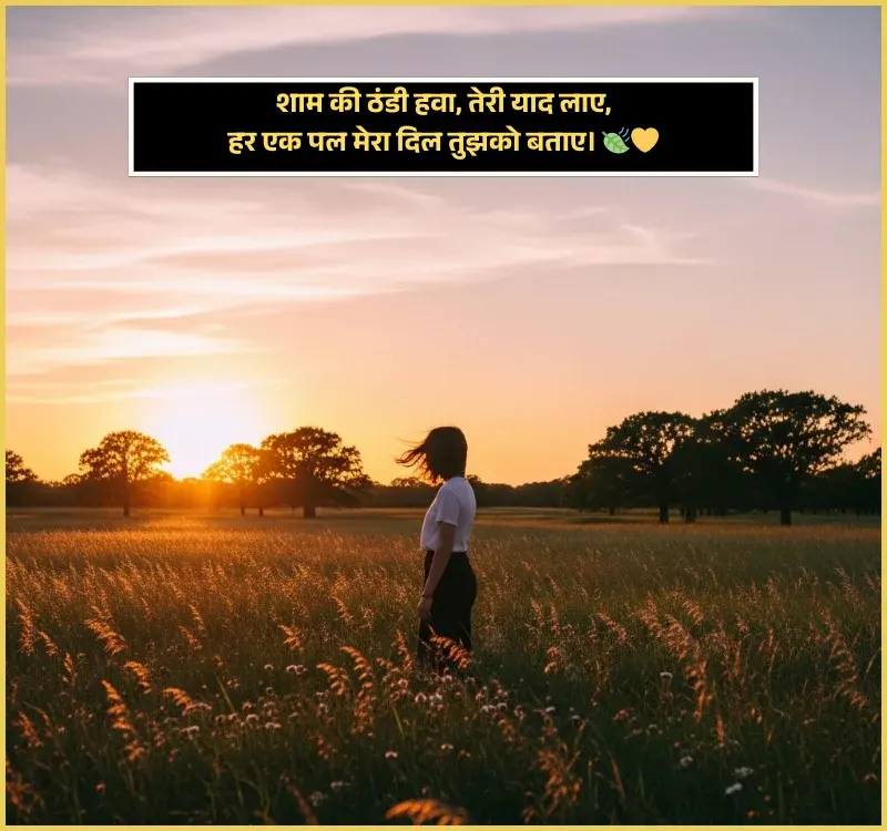Good Evening Shayari