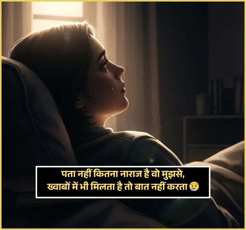 Love True Love Sorry Shayari